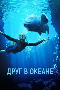 Синяя спина (2023), 2023